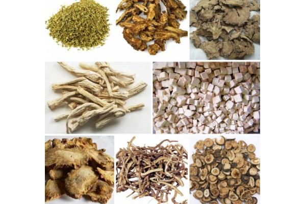 Phương pháp điều trị bại não bằng đông y